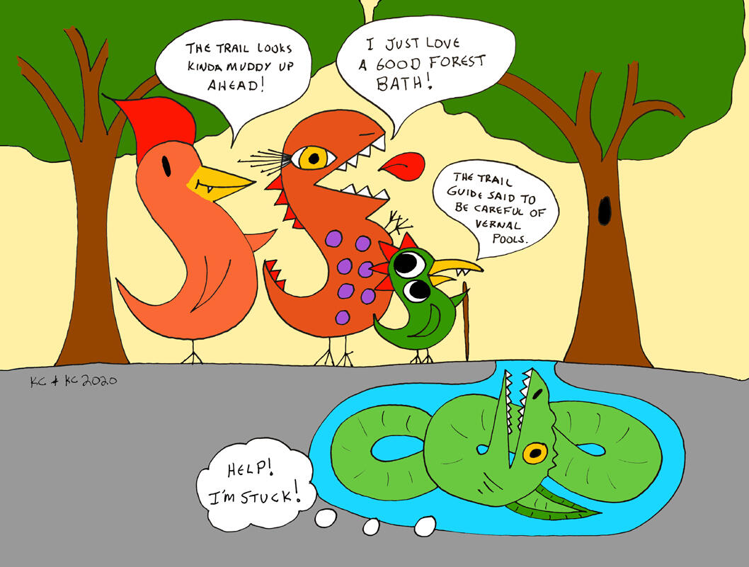 Vern of the vernal pools